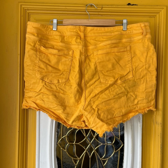 Torrid plus size 22 22W - Picture 3 of 4